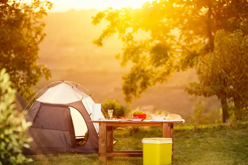 Family Camping Tips on a Budget